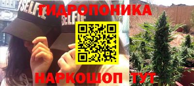 ALPHA PVP Обь