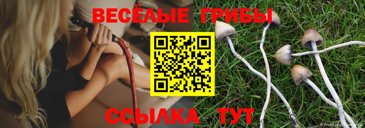 Галлюциногенные грибы Psilocybine cubensis Семилуки